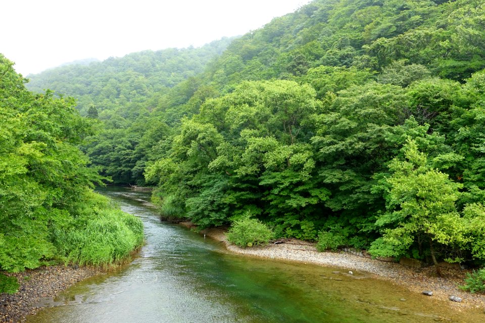 Oirase Mountain Stream at Lake Towada - Nenokuchi, Aomori - DSC01037