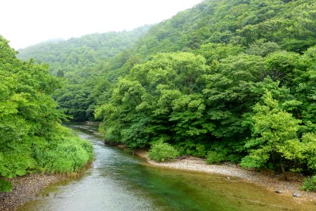 Oirase Mountain Stream at Lake Towada - Nenokuchi, Aomori - DSC01037