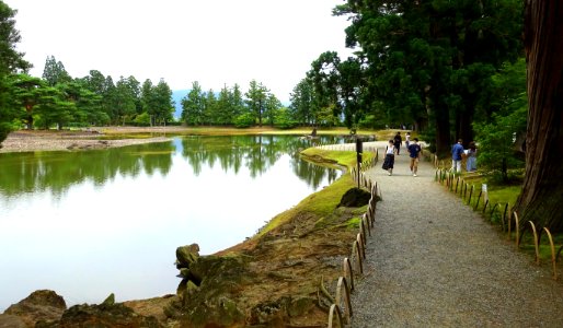 Oizumi ga Ike Pond - Motsuji, Hiraizumi, Iwate - DSC04404