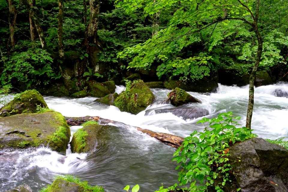 Oirase Mountain Stream - Towada, Aomori - DSC01301