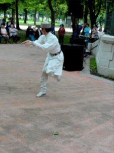 OIRATY, Ballet national de Kamoukie à Lunéville le 3 juillet 2016 (34)