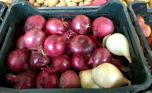 Oignons rouges au marché photo