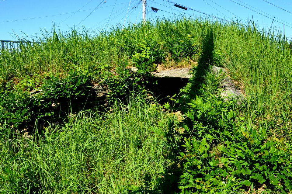 Ojoka Kofun, entrance
