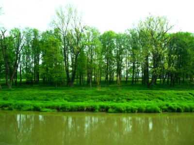 Odra, Racibórz 11