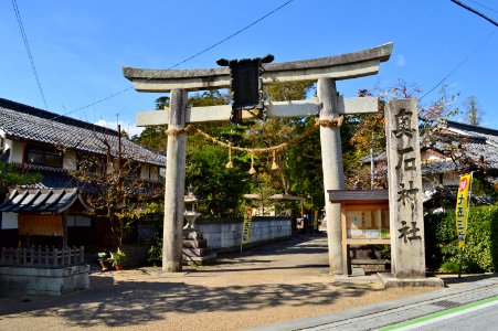 Oiso-jinja, torii
