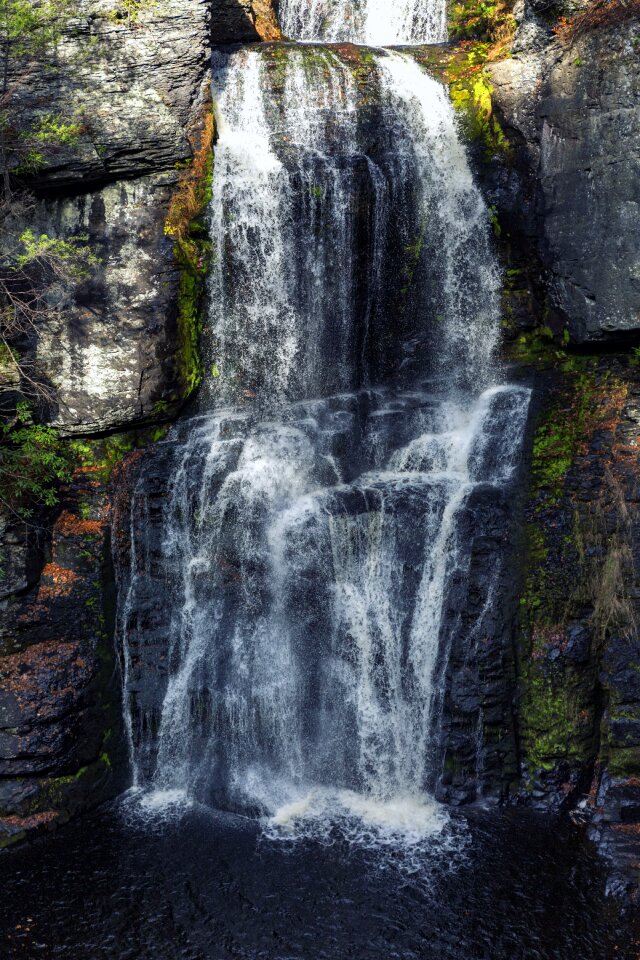 Water mountain forest