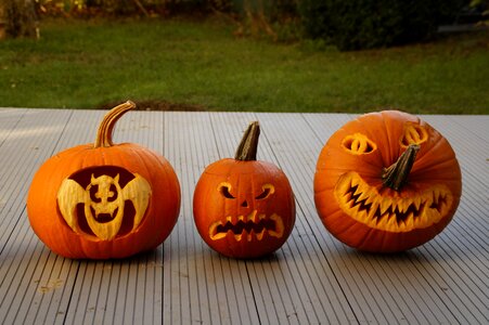 Pumpkin autumn decoration photo