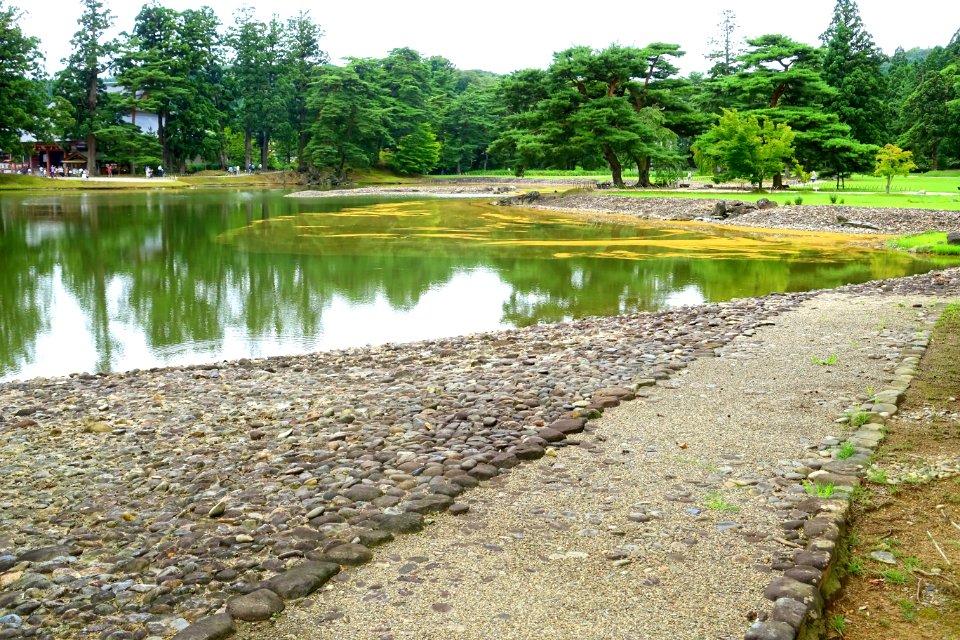 Oizumi ga Ike Pond - Motsuji, Hiraizumi, Iwate - DSC04579