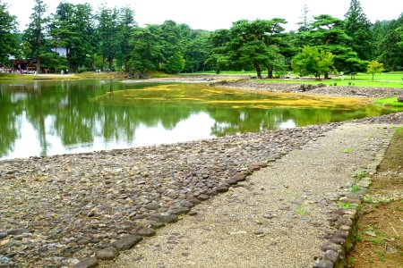 Oizumi ga Ike Pond - Motsuji, Hiraizumi, Iwate - DSC04579