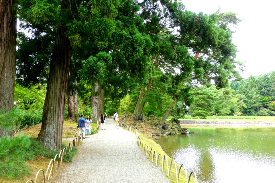 Oizumi ga Ike Pond - Motsuji, Hiraizumi, Iwate - DSC04391
