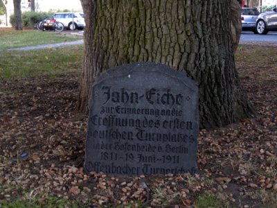 Offenbacher Jahn-Eiche by DaB. 4