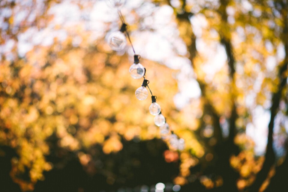 Light bulbs string string lights photo