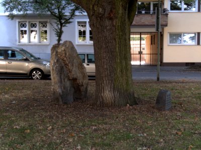 Offenbacher Jahn-Eiche by DaB. 6