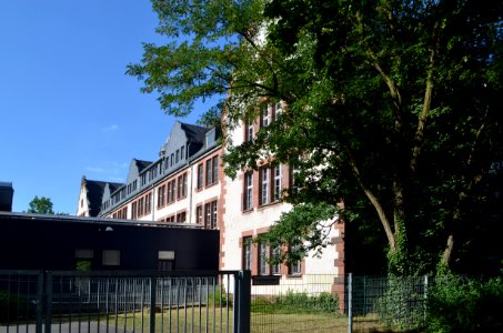 Offenbach Albert-Schweitzer-Schule (3)