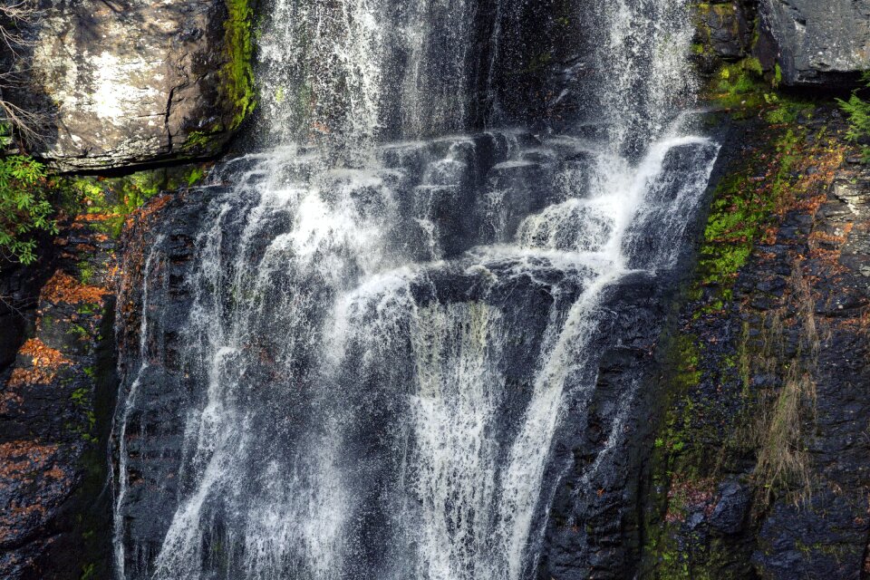 Water mountain forest photo