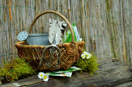 Garden tools sow plant