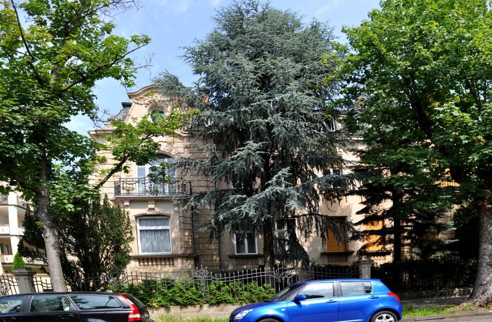Offenbach, Tulpenhofstraße 11-13