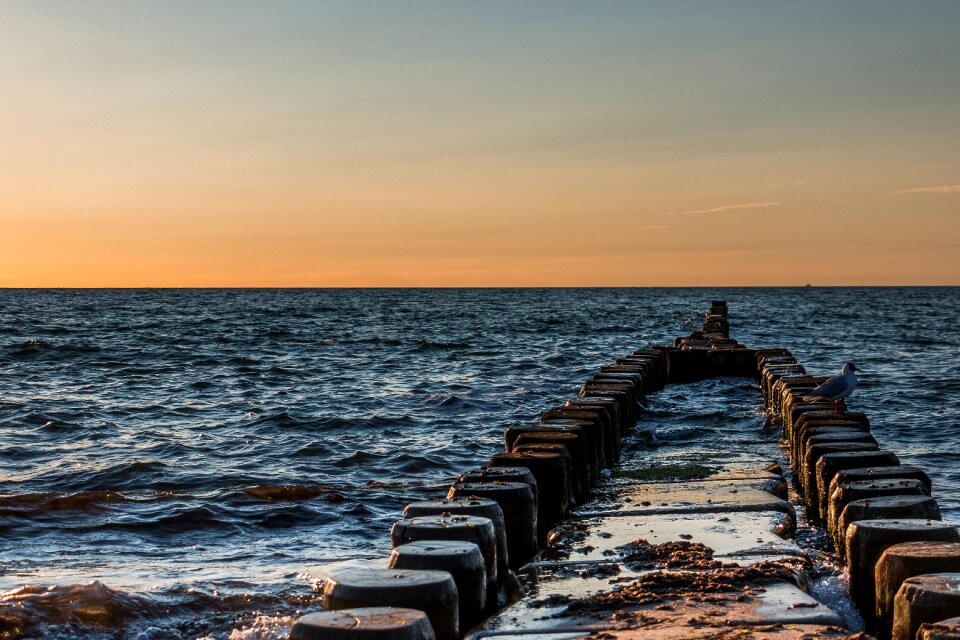 Baltic sea water swim