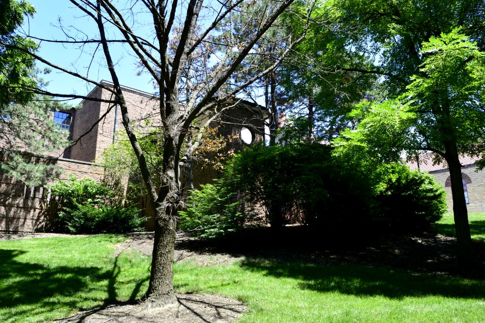 Ohio-Columbus-Faculty-Club-2017-07-09-0069
