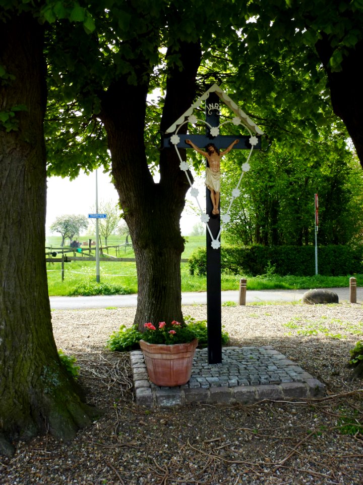 Ohé en Laak (Maasgouw) wegkruis Daalderweg
