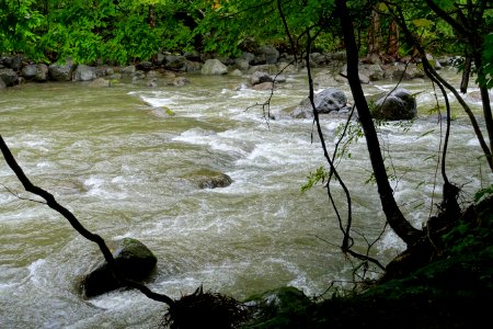 Oirase Keiryu Hotel - Oirase Mountain Stream - Towada, Aomori - DSC00849