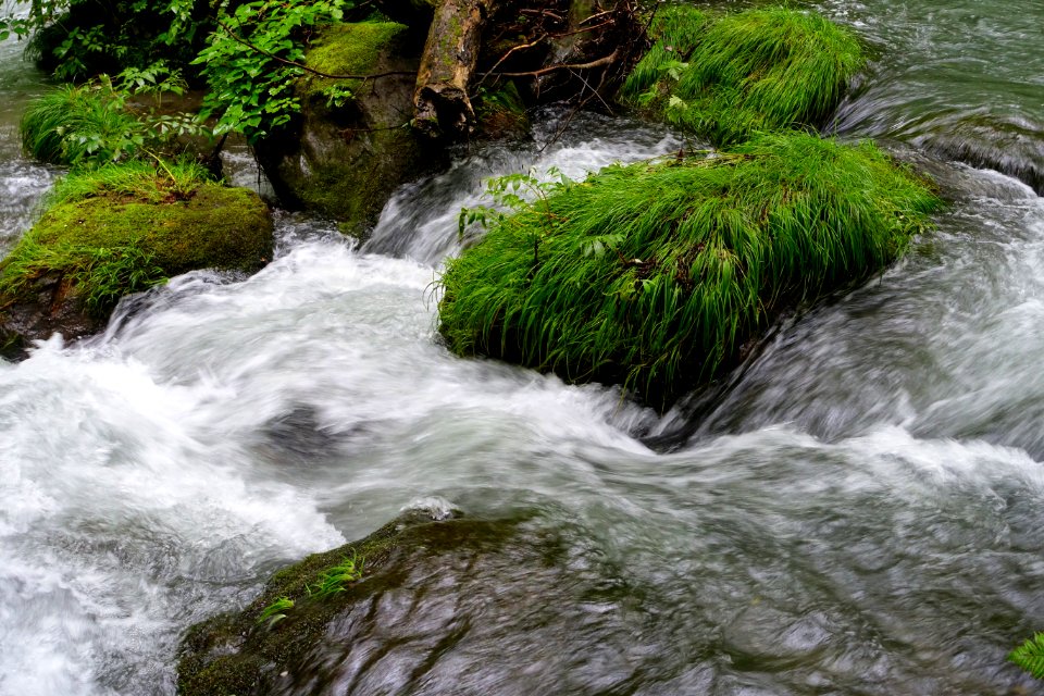 Oirase Mountain Stream - Towada, Aomori - DSC01258
