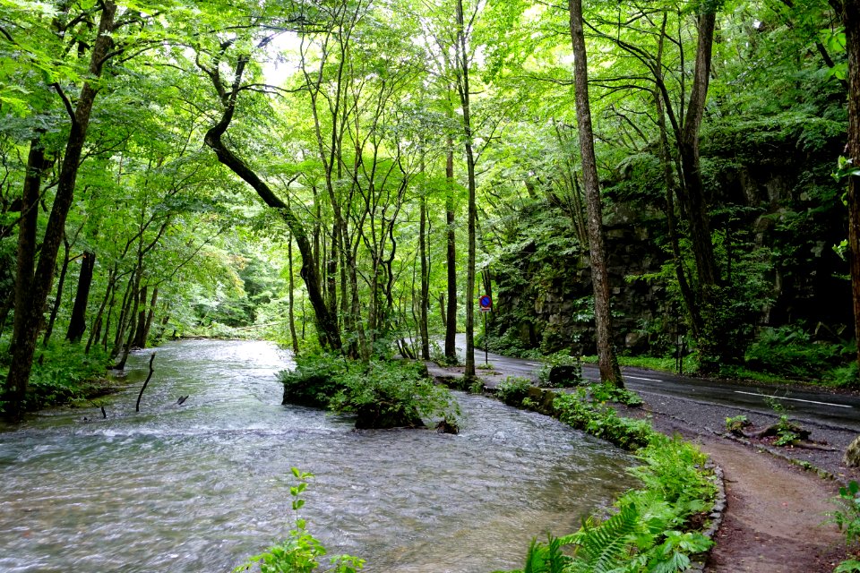 Oirase Mountain Stream - Towada, Aomori - DSC01188