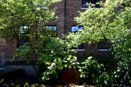 Ohio-Columbus-Faculty-Club-2017-07-09-0019