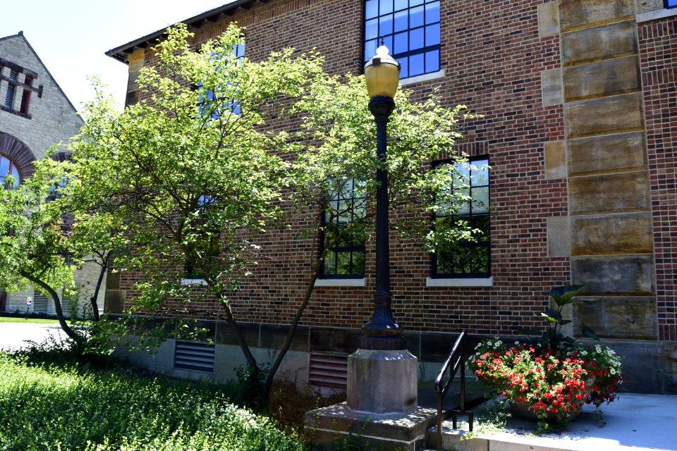 Ohio-Columbus-Faculty-Club-2017-07-09-0088