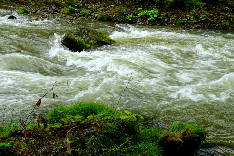 Oirase Mountain Stream - Towada, Aomori - DSC00907