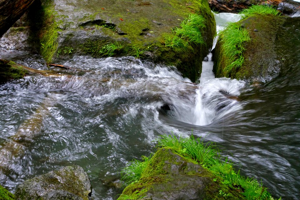 Oirase Mountain Stream - Towada, Aomori - DSC01294