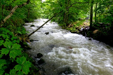 Oirase Mountain Stream - Towada, Aomori - DSC00931