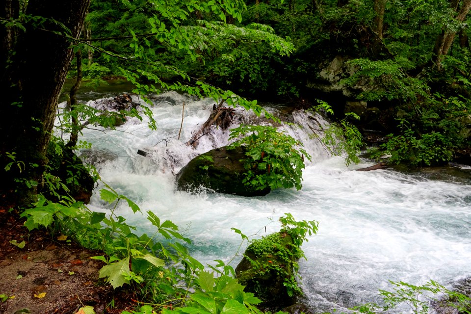 Oirase Mountain Stream - Towada, Aomori - DSC01088