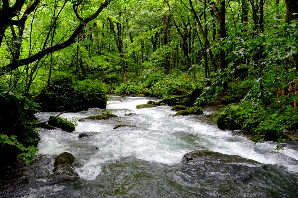 Oirase Mountain Stream - Towada, Aomori - DSC01158