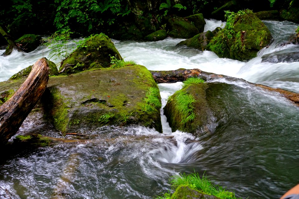 Oirase Mountain Stream - Towada, Aomori - DSC01280