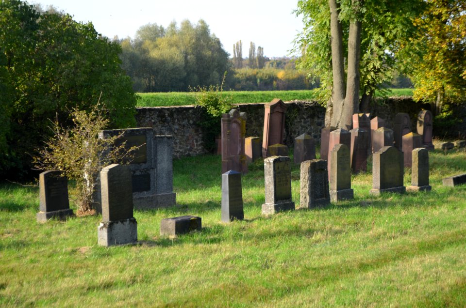 Offenbach-Bürgel, Jüdischer Friedhof (4)