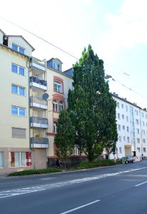 Offenbach, Waldstraße 165 (1)