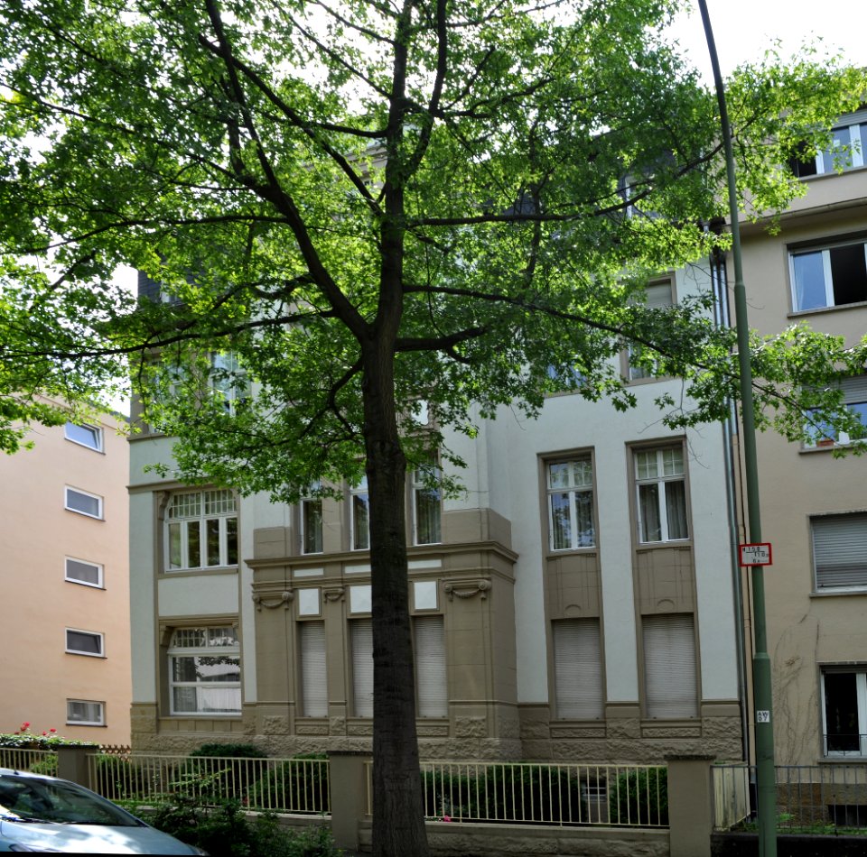 Offenbach, Tulpenhofstraße 18