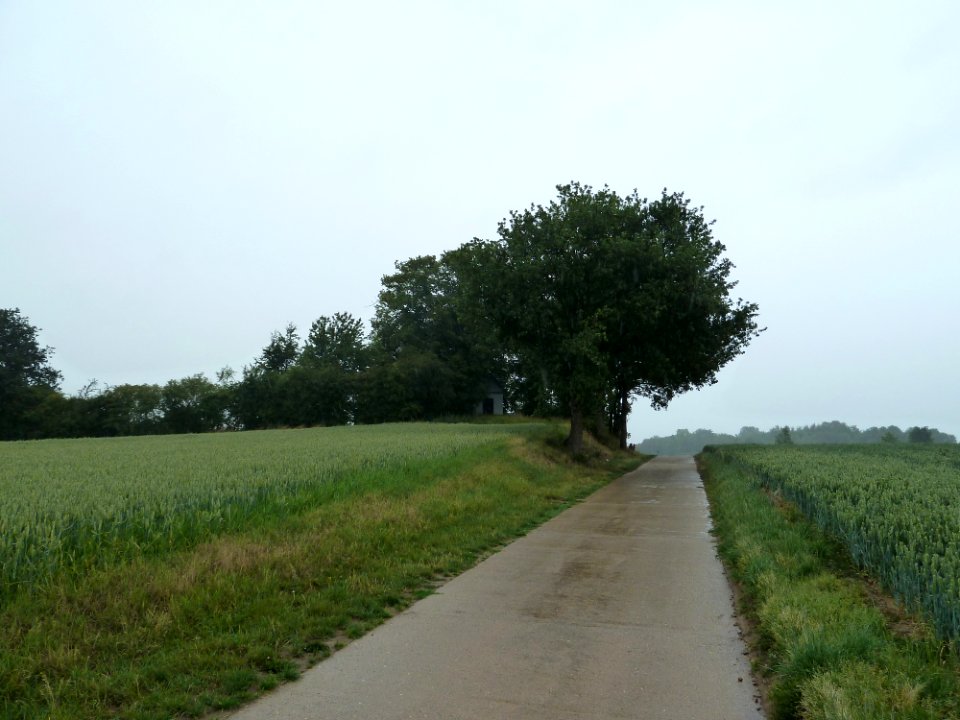 Oreye-Tumulus van Otrange (2)