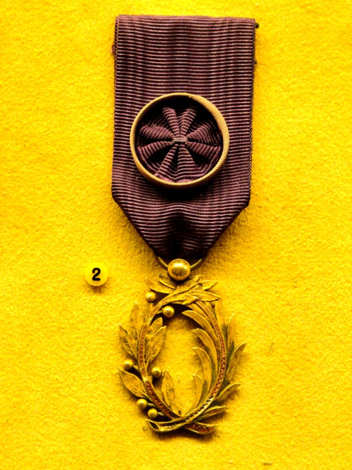 Ordre des Palmes Académiques, France, Henry Ericsson, 1898-1938 - National Museum of Finland - DSC04002