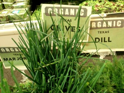 Organic Texas chives
