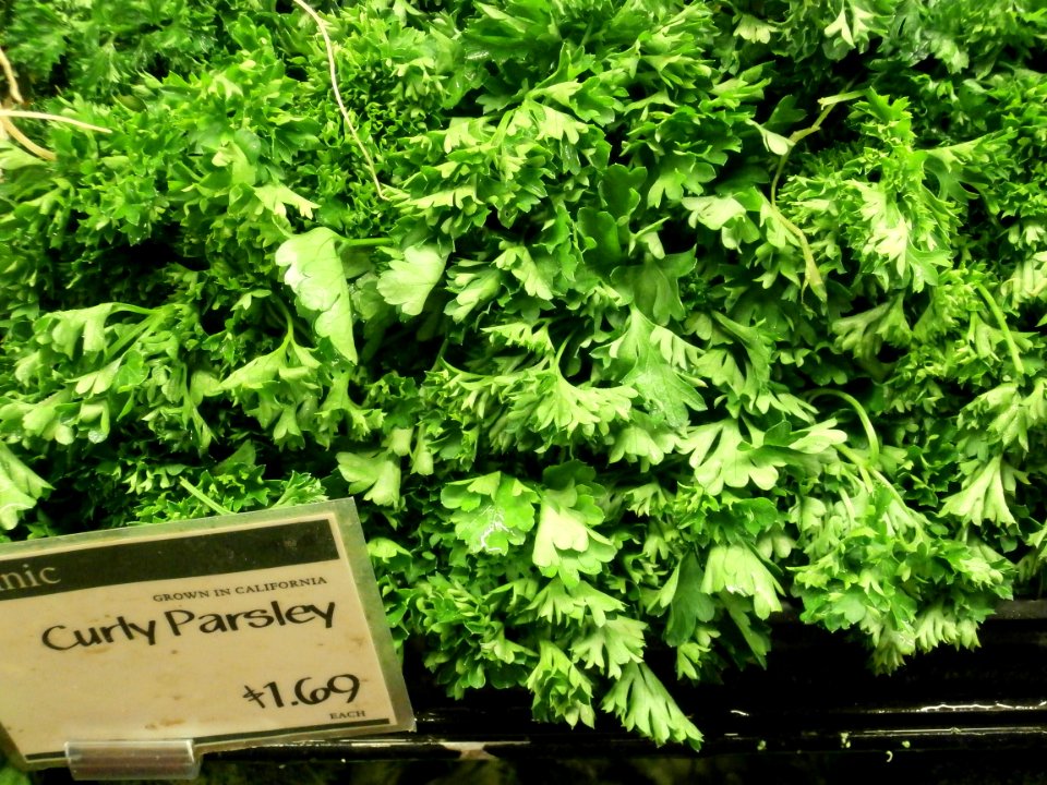 Organic curly parsley