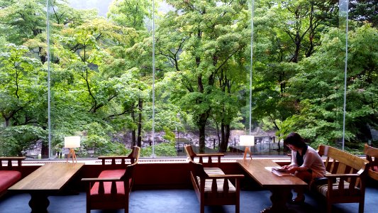 Oirase Keiryu Hotel - Oirase Mountain Stream - Towada, Aomori - 20170809 083532