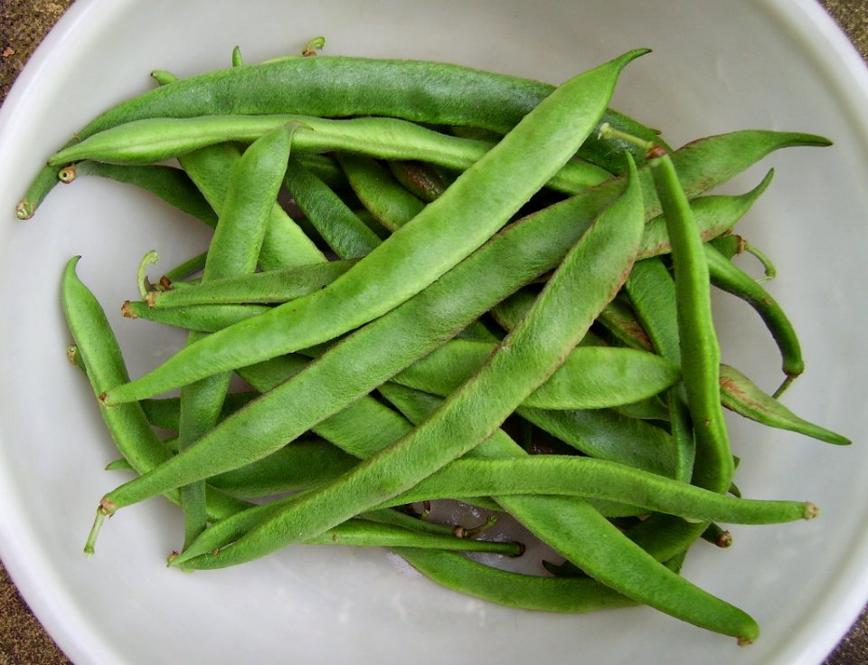 OrdinaryRunnerBeans