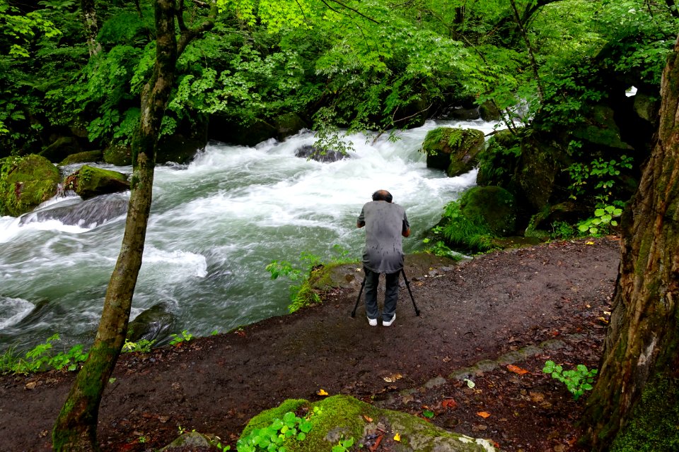 Oirase Mountain Stream - Towada, Aomori - DSC01290