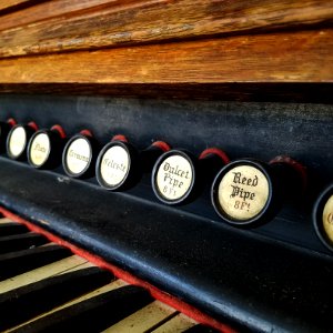 Organ knobs photo