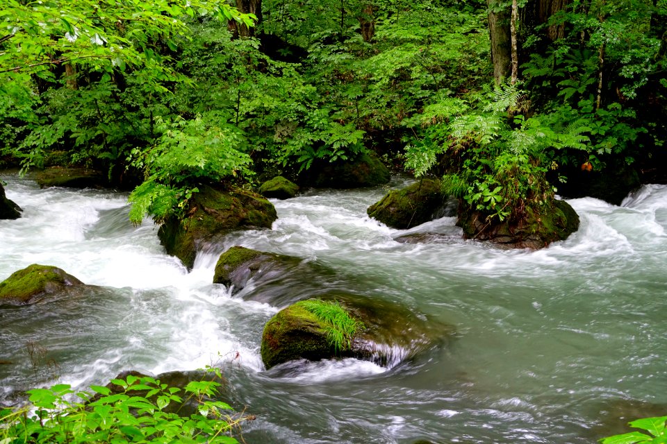 Oirase Mountain Stream - Towada, Aomori - DSC01228