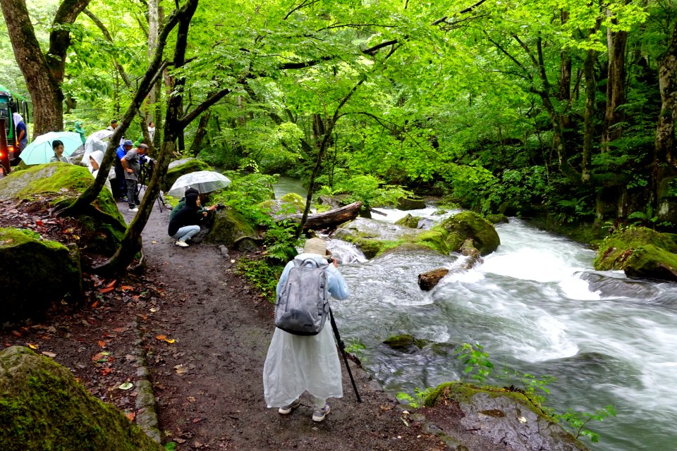 Oirase Mountain Stream - Towada, Aomori - DSC01270