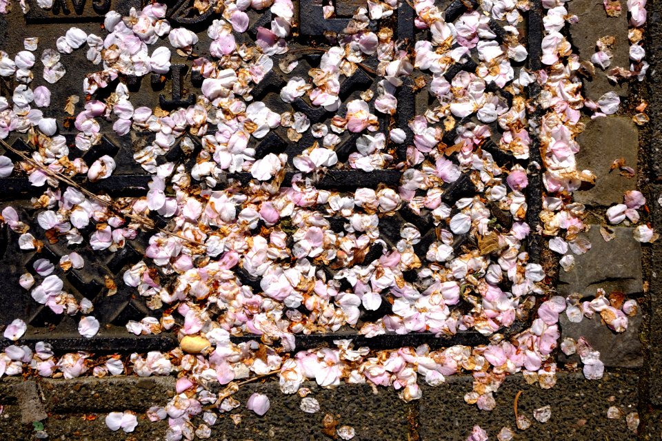 Organic confetti II