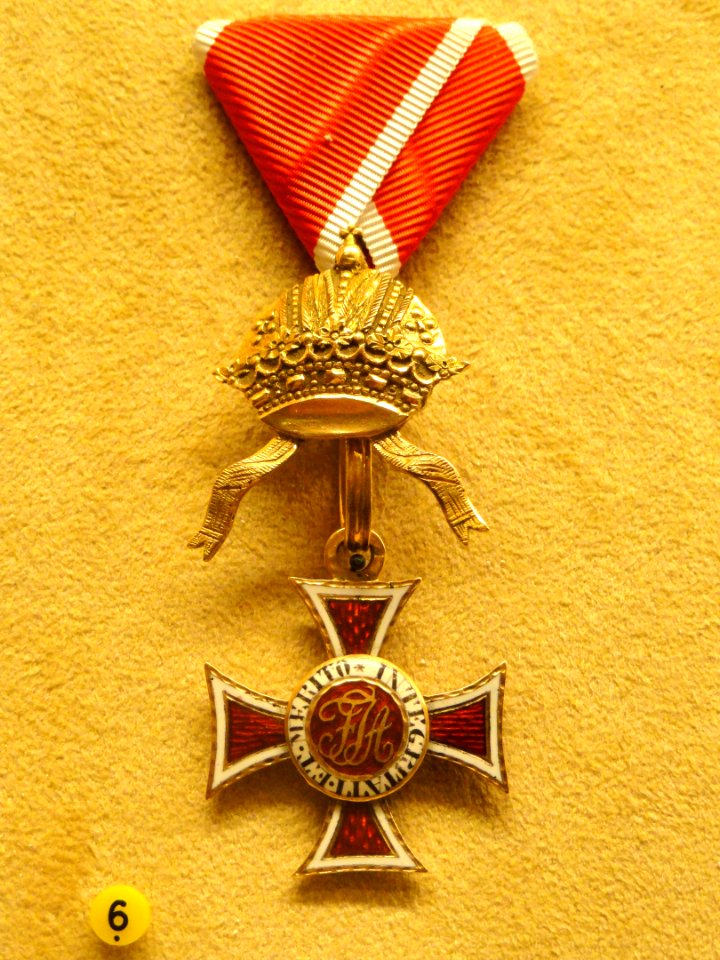 Order of Leopold, Austria, A. A. Thesleff, 1814 - National Museum of Finland - DSC03999